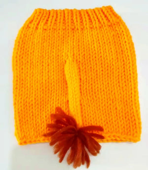 Little Roar™ Crochet Lion Photo Prop for Newborns