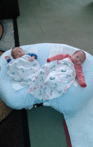 DuoNest™ Luxe Twin Nursing & Support Pillow